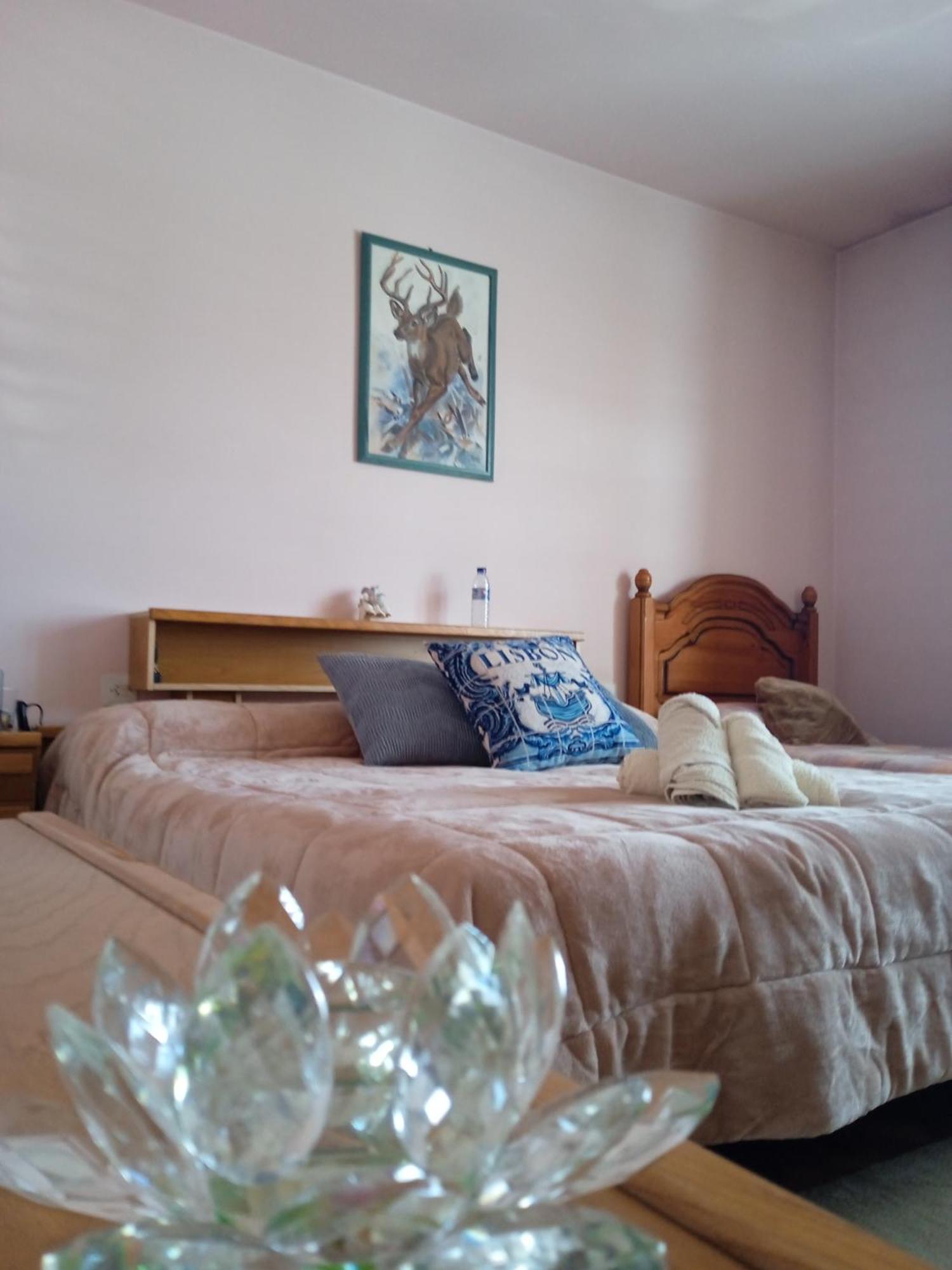 Bed and breakfast A Casa De Abelleira Ponteareas Extérieur photo
